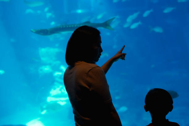istock Mother and son watching under the sea. 1493068569
