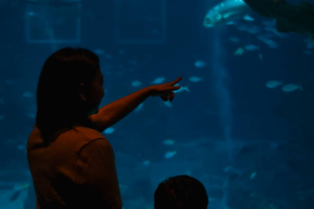 istock Mother and son watching under the sea. 1493068570