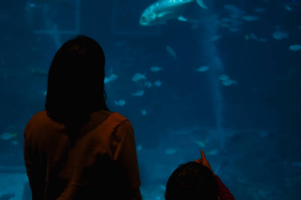 istock Mother and son watching under the sea. 1493068571