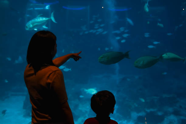 istock Mother and son watching under the sea. 1493068587