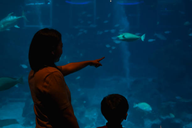 istock Mother and son watching under the sea. 1493068598