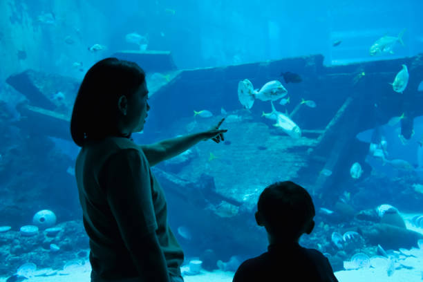istock Mother and son watching under the sea. 1493068633