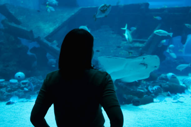istock Women portraits silhouette under the sea 1493068641