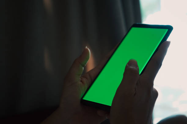 istock Hand Holding Green Screen Mobile phone 1493071607