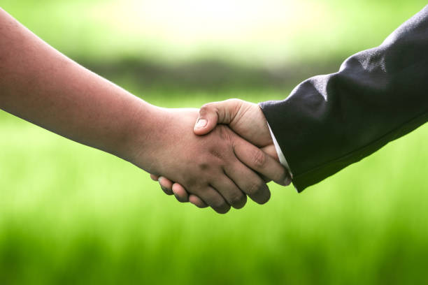 istock Businessman shaking hands in rice field, Business concepts 1493071714