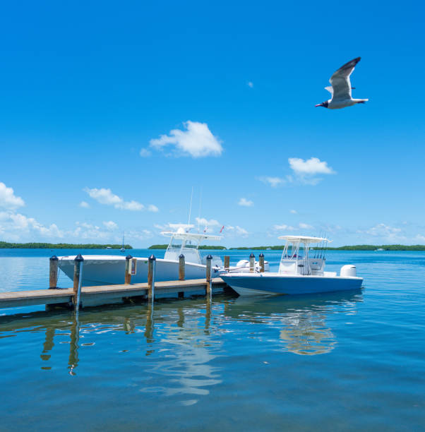 istock IslaMorada, Florida keys - two boats docked at pier 1493074202