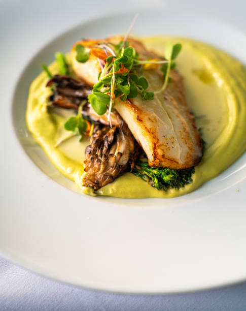 istock Grouper fish with mushroom over a cauliflower puree 1493074349