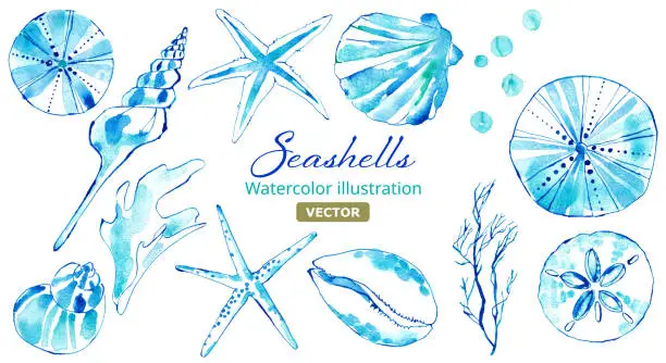 Vector illustration of Watercolor illustration set of various seashells. A decoration that reminds you of the sea. vector.