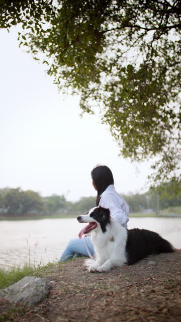 Young asian girl enjoying beautiful summer sunset with her dog in nature park.