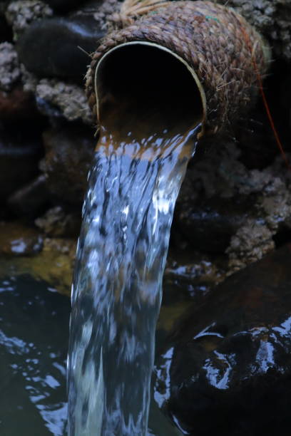 istock stream in the middle of a pine forest 1493079096