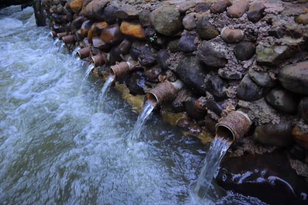 istock stream in the middle of a pine forest 1493079098