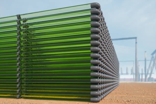 Close-up View Of Tubular Algae Bioreactors Fixing CO2 To Produce Biofuel As An Alternative Fuel Close-up View Of Tubular Algae Bioreactors Fixing CO2 To Produce Biofuel As An Alternative Fuel. 3D Rendering tubular structures stock pictures, royalty-free photos & images