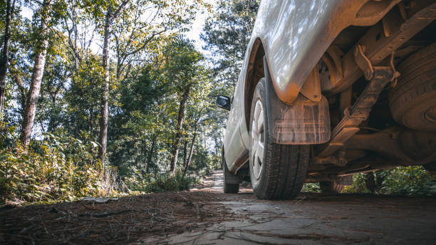 istock Car travel on mountain road. Beautiful nature. 1493083271