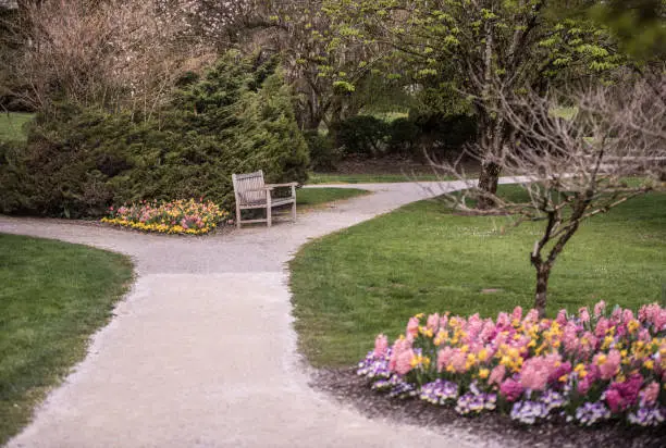 Photo of An Awakening Botanic Park in Colorful Spring Colors with Gravel Paths an Benches to Enjoy the Nature ,Arboretum Volčji Potok, Slovenia