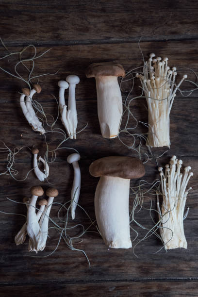 먹을 수 있는 아시아 버섯 에노키, 시메지, 표고버섯, 티트리, 왕굴버섯 - 만가닥 버섯 뉴스 사진 이미지