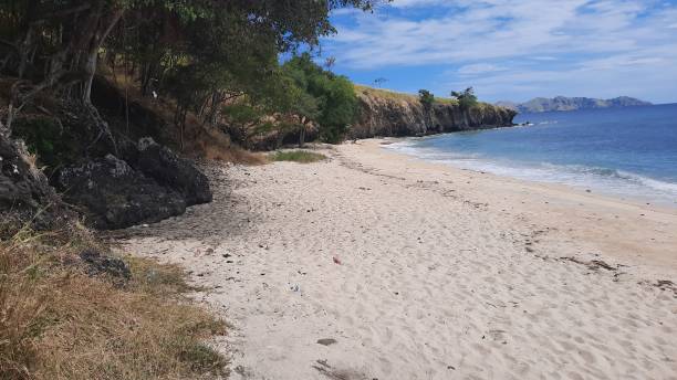 istock Natural White Sand Beach and the Blue Sky 1493091051