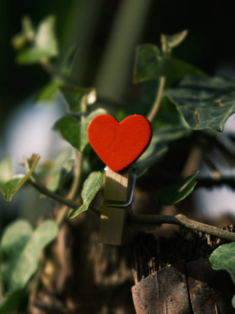 istock decorative red heart among tree leaves 1493093293