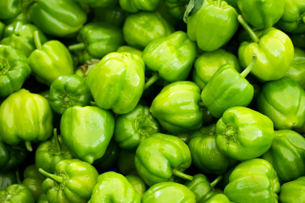 istock Green chilli close-up. Fresh Vegetables Background. Chili peppers. 1493095001