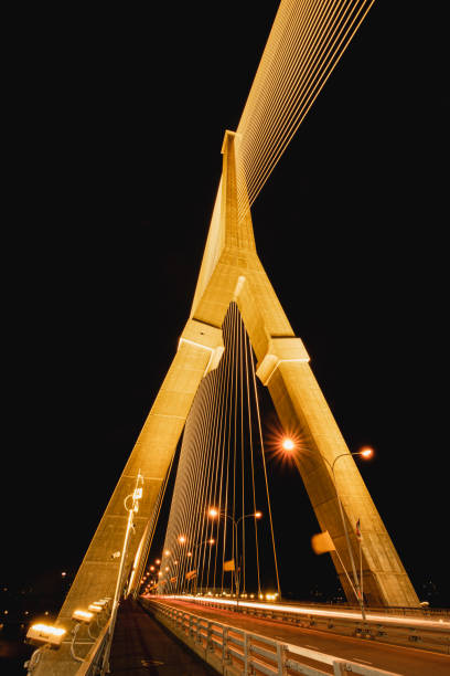istock Night land scape at Rama VIII bridge 1493098481