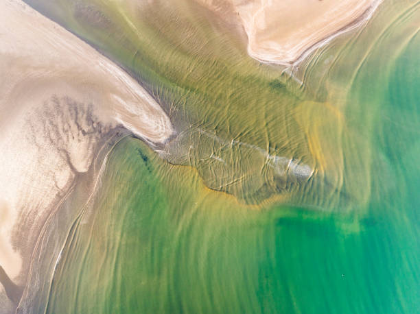 istock Turquoise sea waves reaching coastline. 1493099016