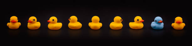 istock Yellow rubber ducks and one turquoise in a row 1493100789