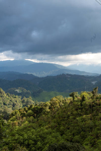 istock Cameron highlands tea plantation in the mountains 1493101825