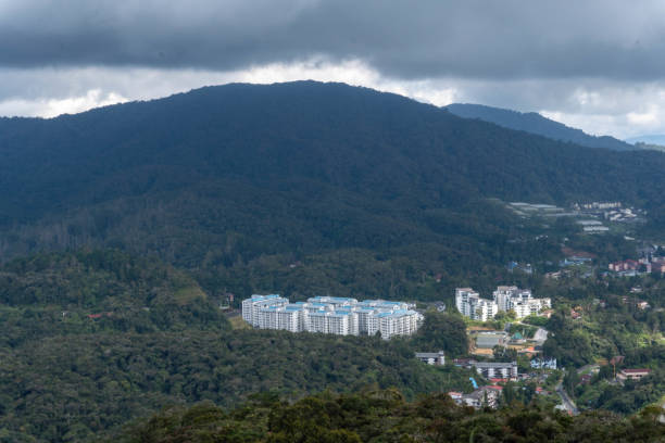 istock A resort lost in the forest 1493101826