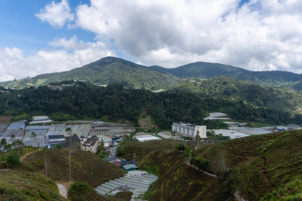 istock View on hothouse in tea plantation valley in cameron highlands 1493102486