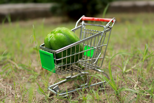 Green bell pepper in shopping cart outdoors in the park.