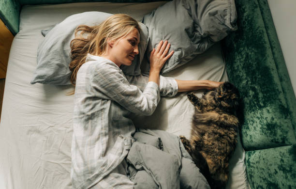 istock Woman petting cat lying in bed after waking up 1493106708