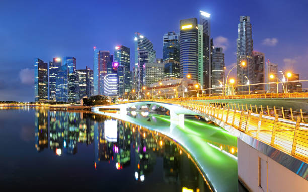 istock Singapore city skyline at night 1493108126