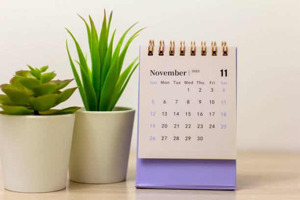 istock Desktop calendar for November 2023. Desktop calendar for planning, appointments. 1493109754