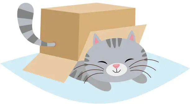 Vector illustration of Cute cat under cardboard box