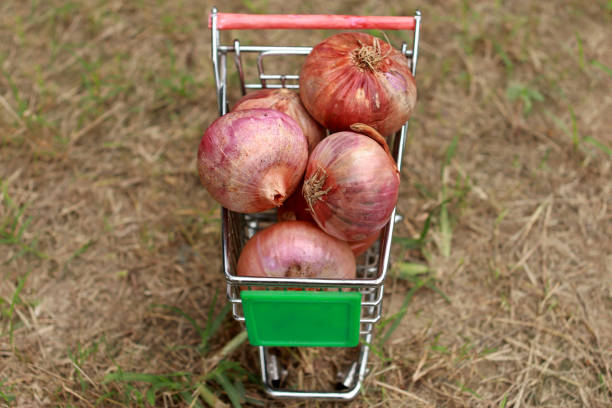 Full of onion shopping cart outdoors in the park.