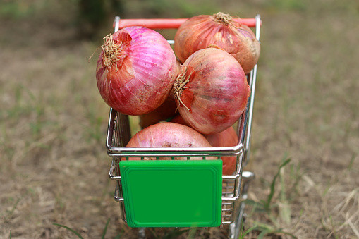 Full of onion shopping cart outdoors in the park.