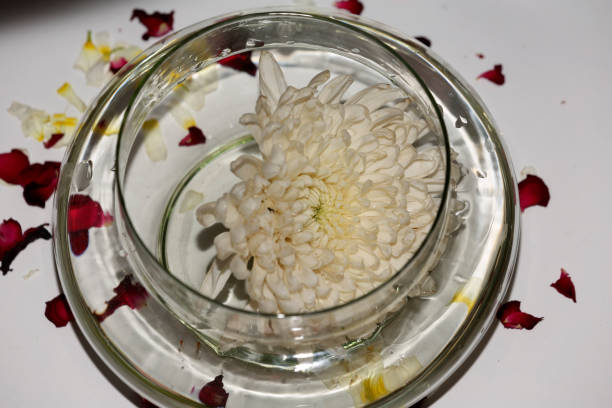 istock Fresh flower ind glass bowl table top view 1493114521