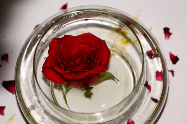istock Fresh flower ind glass bowl table top view 1493114522