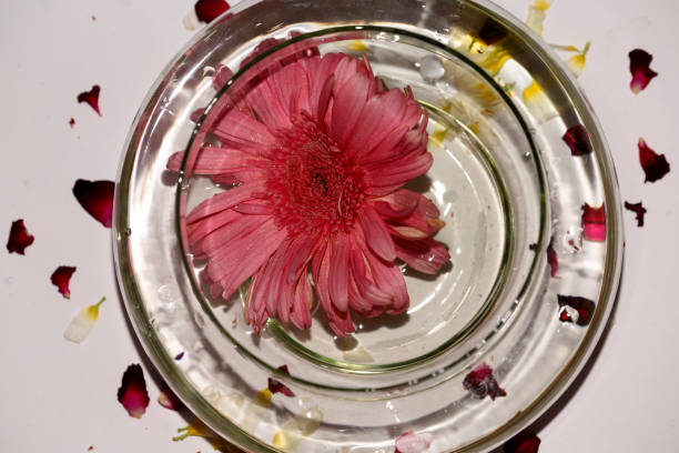 istock Fresh flower ind glass bowl table top view 1493114535