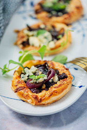 Red onion tart. Made with caramelised red onions, blue cheese or gorgonzola cheese and oregano. Delicious as an appetiser or a light lunch or brunch. Colour, vertical format with some copy space.