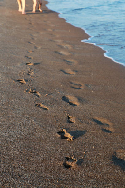 istock Steps in the sand by the sea 1493115171