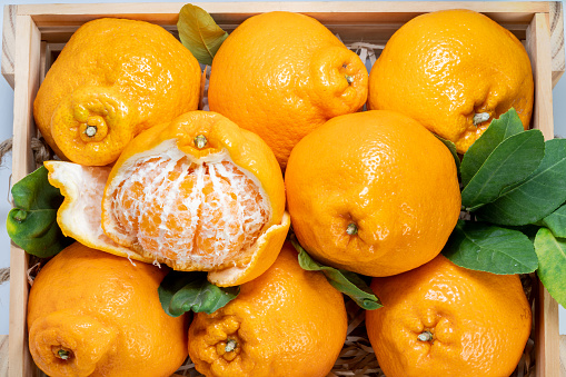 Orange fruit in Wooden box on white background, Dekopon orange or sumo mandarin tangerine on White Background.