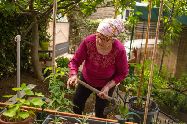 istock Grandmother gardener 1493118912