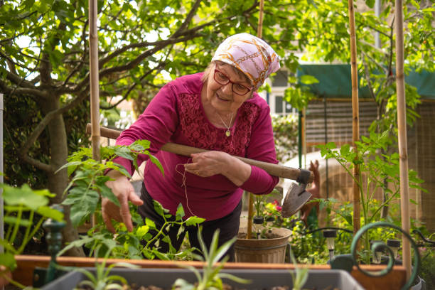 istock Happy senior gardener 1493118951