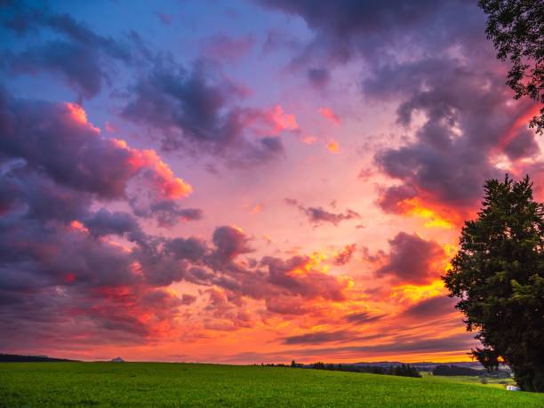 istock Beautiful colorful sunset over a green grassy field 1493118962