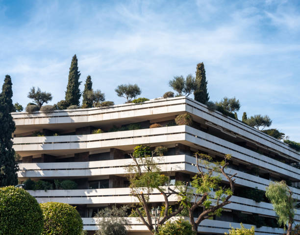 istock modern building with trees on the roof in Greece 1493119005
