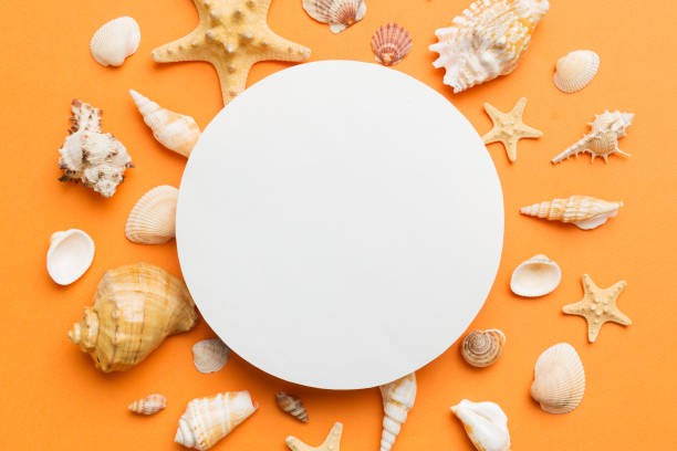 istock Summer time concept with blank greeting card and blank white paper on colored background. Seashells from ocean shore in the shape of frame separated with space for text top view 1493119774