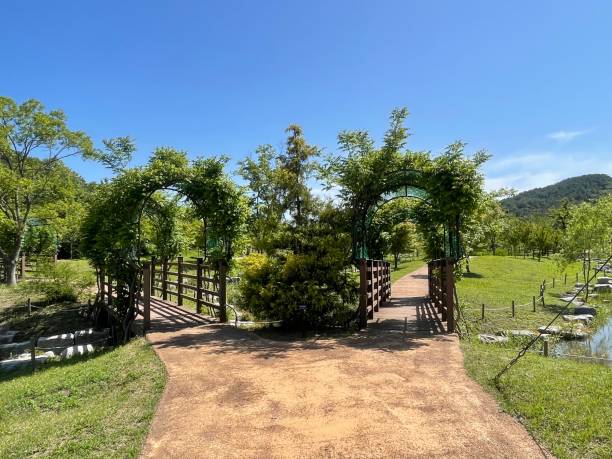 istock Botanical Garden with flowers and trees. 1493120445