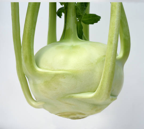 istock Kohlrabi, Brassica oleracea var. gongylodes 1493120836