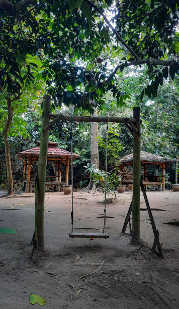 istock Swinging in the middle of the forest 1493121937