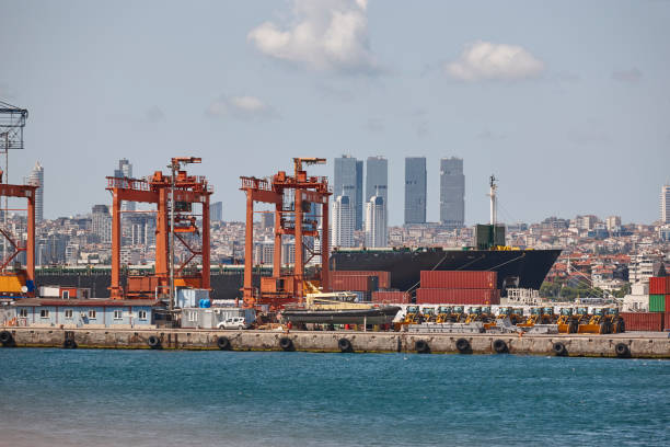 istock Cranes at comercial seaport. Bosphorus strait in Istanbul. Transportation Turkey 1493122575